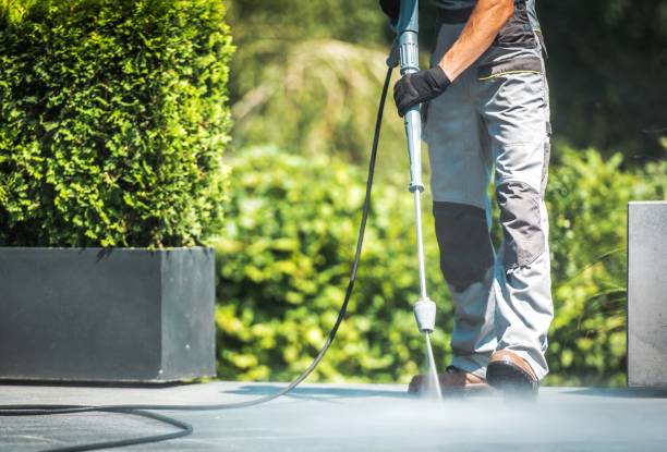  North Alamo, TX Pressure Washing Pros