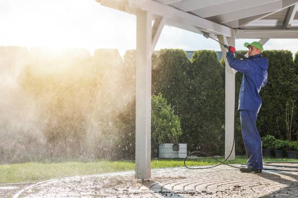 Best Oil Spill Cleanup  in North Alamo, TX